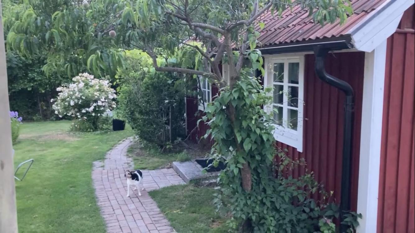 Isans Stuga Broby Exterior foto